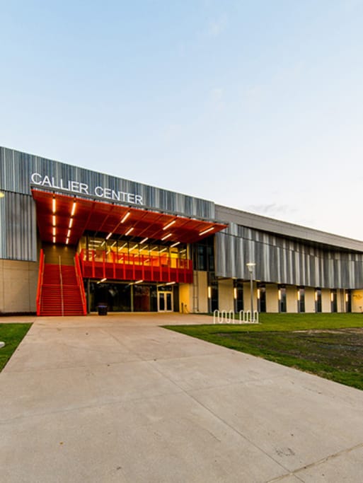 1.0_UT-Dallas-Callier